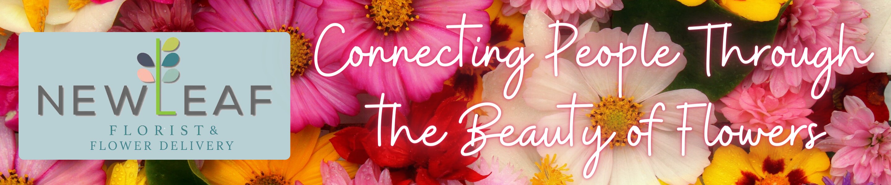 Flower Delivery to Oklahoma City by New Leaf Casady Square
